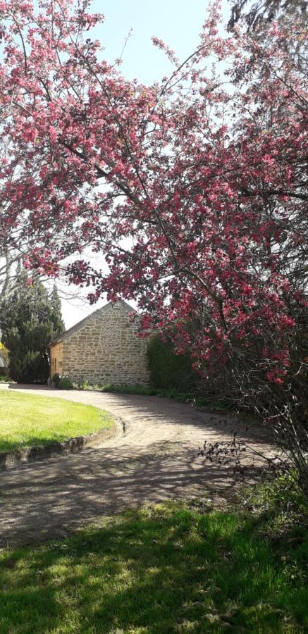 Chambres d'hôtes La Maison d'Après Charolles Esterno foto